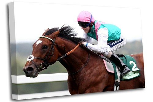 Frankel jockey queally horse - frankel,