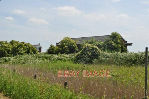 Photo three horse - ,