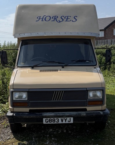 Fiat ducato tonne horsebox - 3.5,
