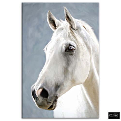 Horse white animals - , box