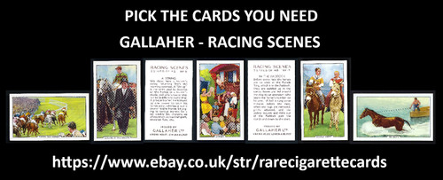 Gallaher racing scenes - gallaher,