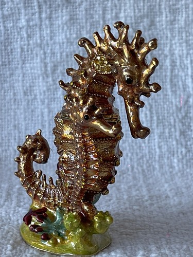 Sea horse with - sea,