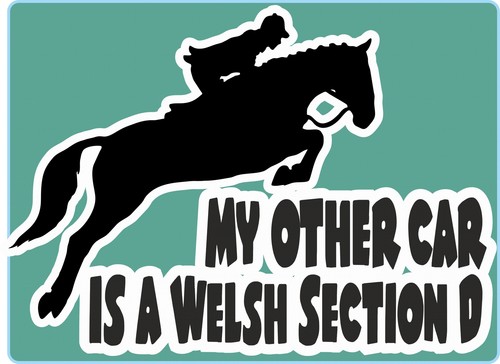 Horsebox decal other car - horsebox,