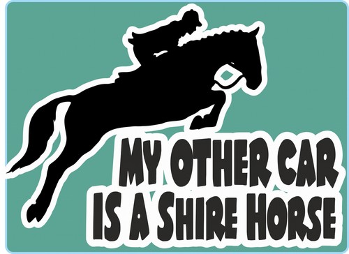 Horsebox decal other - other, car
