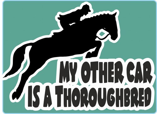Horsebox decal other - other, car