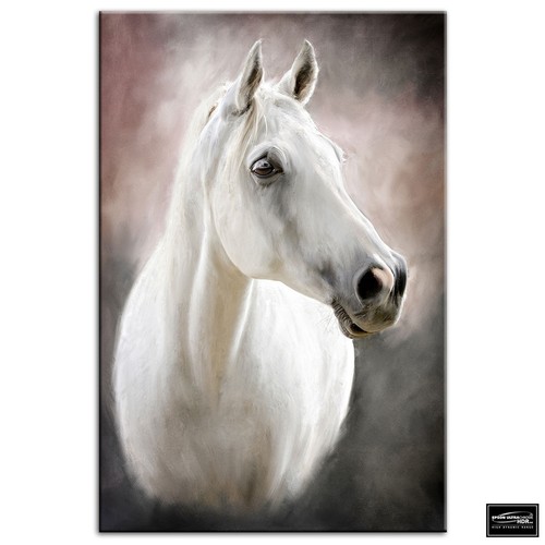 White horse animals box - white,