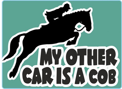Horsebox decal other car - other,